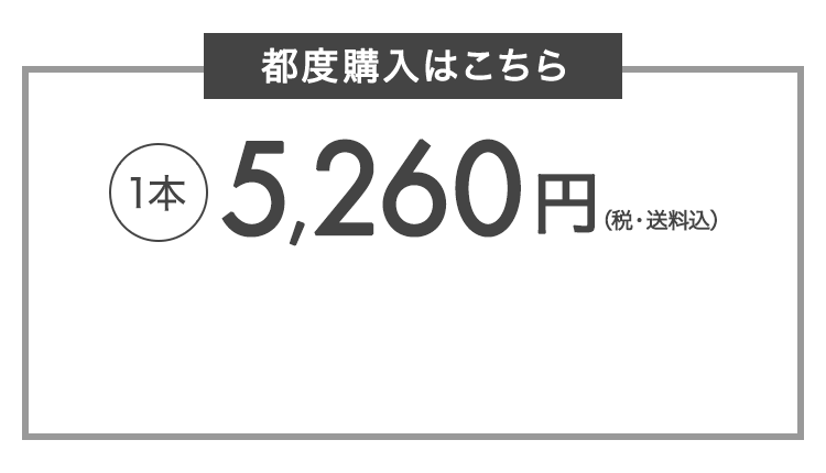 都度購入はこちら